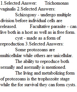 Post Lab - The Protozoa